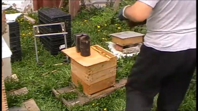 Видео №5. Альпийский улей. Первое весеннее расширение гнезда пчелиных семей. 26.04.2018 г. смотреть онлайн