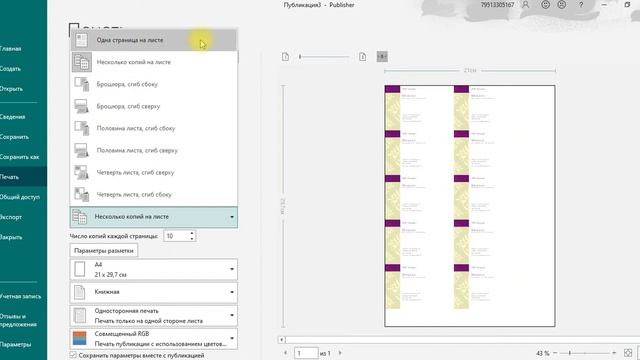 печать в Publisher смотреть онлайн