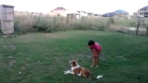 Девочки убегают от собаки