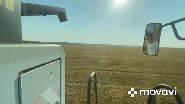 Началась уборка урожая.Пять комбайнов в поле,ACROS 550,три VECTORA 410 и ДОН-1500.Урожайность 25ц/г смотреть онлайн