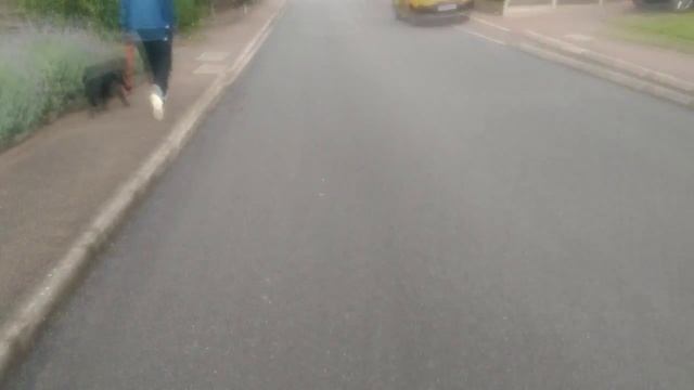 Swegway/Hoverboard Shenanigans смотреть онлайн