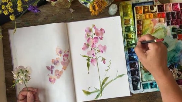 Watercolour painting live sweat peas and a chat