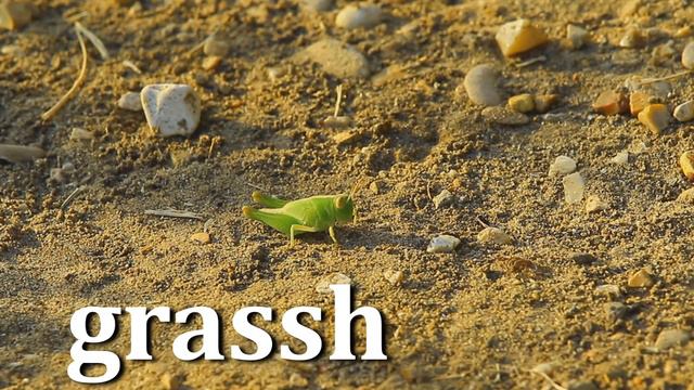 Speak english Learn English Easy смотреть онлайн