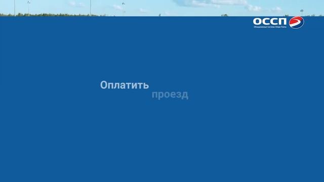 Смартфонные Хроники