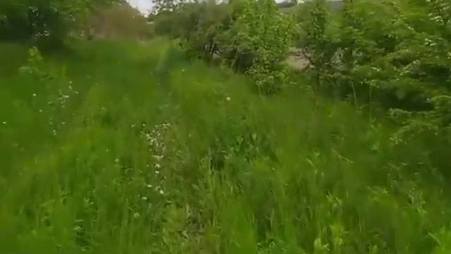 Незабываемый ремонт|Интересные истории из жизни.