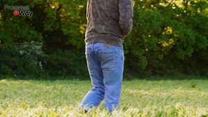 Сидераты: 3 Правила Умного Огородника Заделка Сидератов В Почву