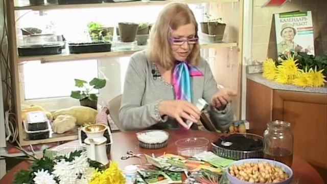 Лучки Пучки. Серия 133. Сеем корневой сельдерей смотреть онлайн