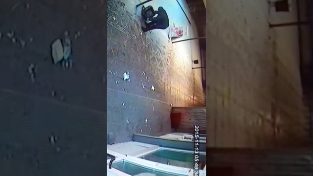 Попался хулиган смотреть онлайн