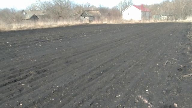 аммиачная селитра, сколько вносить