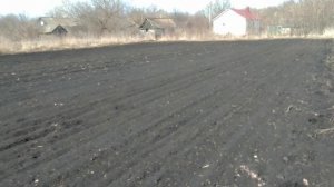 аммиачная селитра, сколько вносить