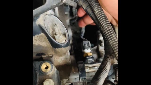 Cambiar Sensor de Temperatura Replace Temperature Sensor Ford Escape 2001-2007 смотреть онлайн