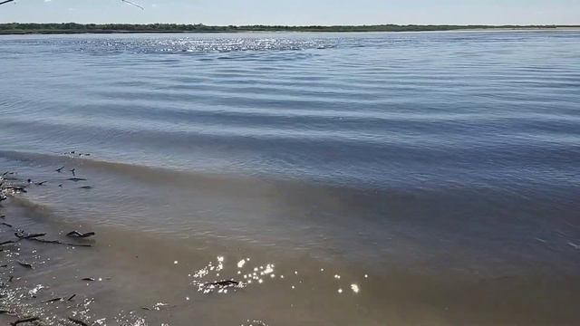 ПЕЧОРА - щедрая река! Рыбалка на крайнем севере! смотреть онлайн