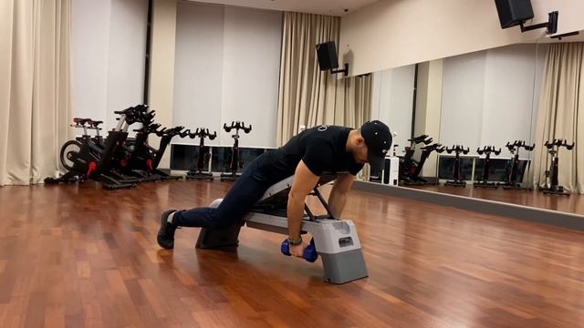 Отведение гантелей стоя в наклоне в стороны ( Разводки в наклоне, в упоре лёжа на скамье) смотреть онлайн