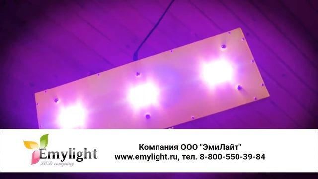 Фито светильники Российского производства СОЮЗ 2 смотреть онлайн