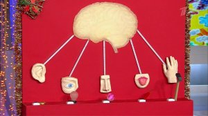 Жить здорово! Выпуск от 28.12.2015