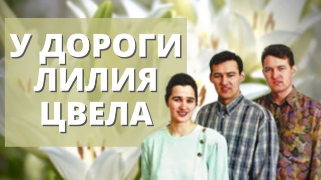 У ДОРОГИ ЛИЛИЯ ЦВЕЛА | Назаруки смотреть онлайн