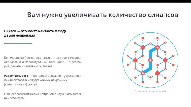 Развивайте память, внимание и мышление с помощью онлайн тренажеров Викиум. Тренажеры для мозга смотреть онлайн