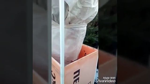 Укрытие для пальмы смотреть онлайн