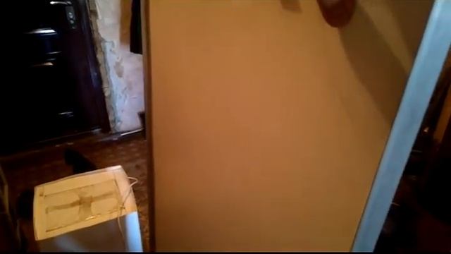 Егор-видео для конкурса смотреть онлайн