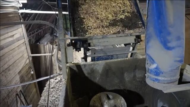 Линия для арболита: как происходит подача щепы смотреть онлайн