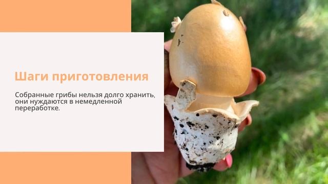 Кулинарные Приключения