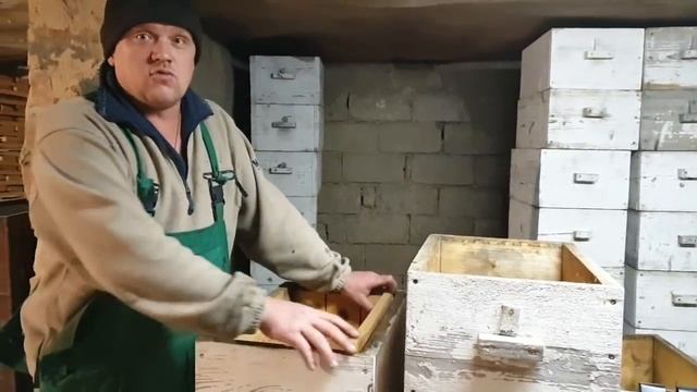 Советы начинающим пчеловода в выборе системы ульев и рамки. Ответы на вопросы подписчиков. смотреть онлайн