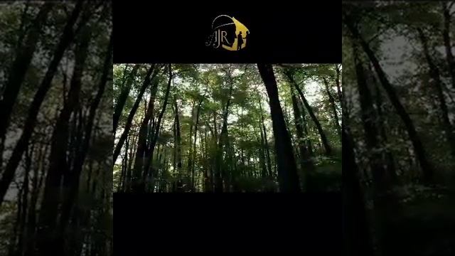 жанат хакида Нуридин хожи домла Андижон смотреть онлайн