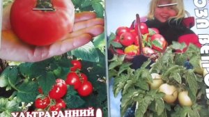 Томаты низкорослые.РОЗА ВЕТРОВ И СЕВЕРЯНИН.Вкусные,урожайные,не требуют формирования.