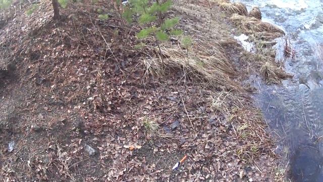 Открытие поплавочной рыбалки 2022.#рыбалканапоплавок#тагилловит смотреть онлайн