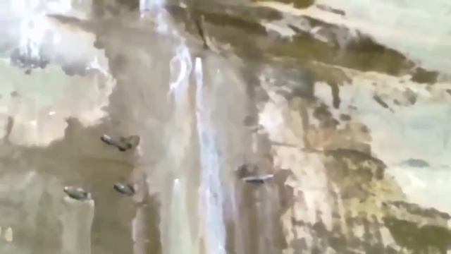 HydroBloc 575 Integral Применение на ГЭС смотреть онлайн