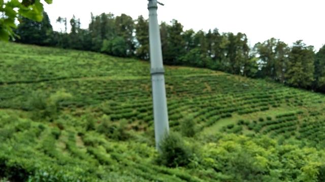 Аниме-Ревью и Обзоры