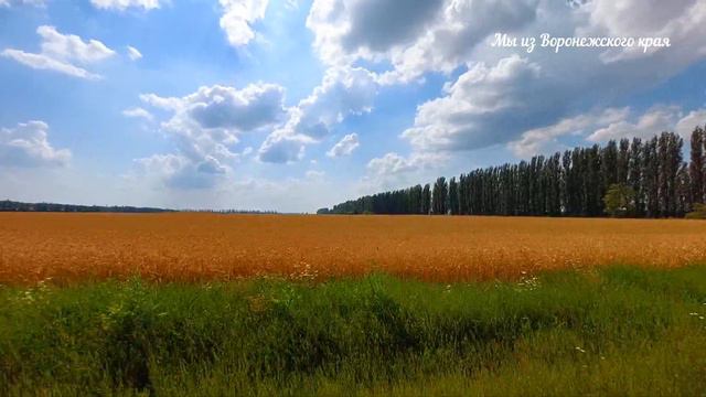 КРАСКИ ЛЕТА/ВОРОНЕЖСКАЯ ОБЛ.,/РОДИНА/4 АВГУСТА 2023Г смотреть онлайн