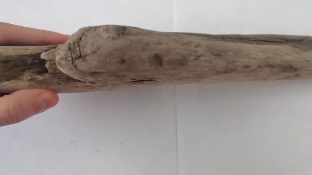 Дрифтвуд на продажу - Driftwood 0002 смотреть онлайн