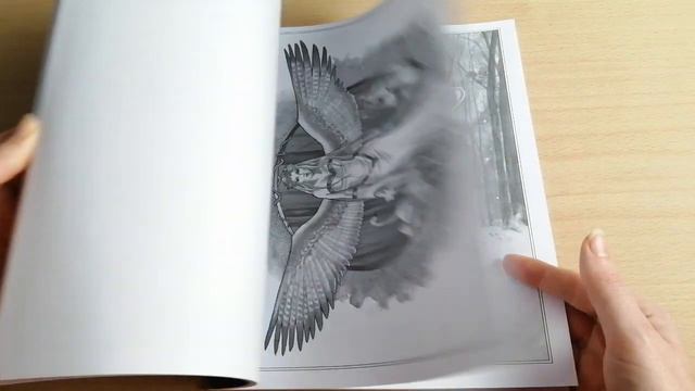 Coloring haul January 2021 - mainly books- Adult coloring смотреть онлайн