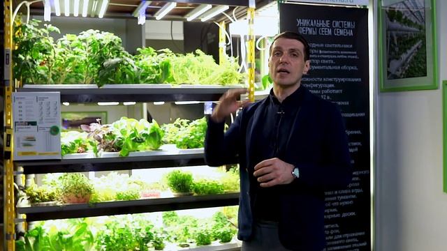 Гидропонная установка для выращивания микрозелени смотреть онлайн
