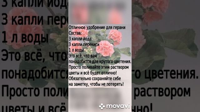 Отличное удобрение для герани.