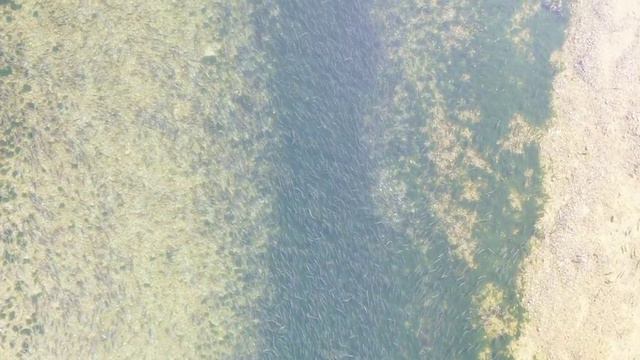 Рыбалка на Дальнем востоке смотреть онлайн