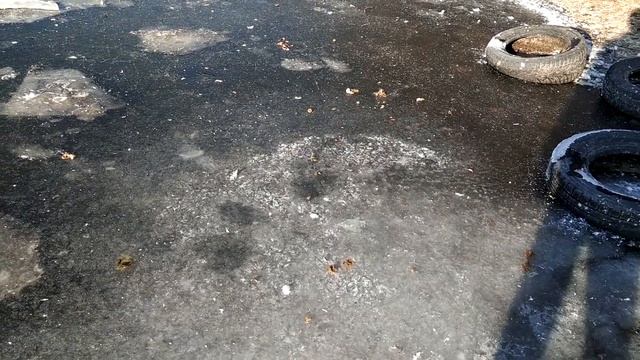 особенности поения гусей зимой. часть 1 . прорубь , ответы на вопросы . жизнь за городом смотреть онлайн