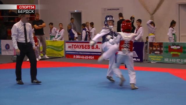 Пришло время побед. XV турнир клуба Мангуста/ 9-11 ноября 2018 года. Бердск смотреть онлайн