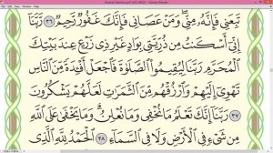 Шейх Айман Сувейд сура Ибрахим стр 260