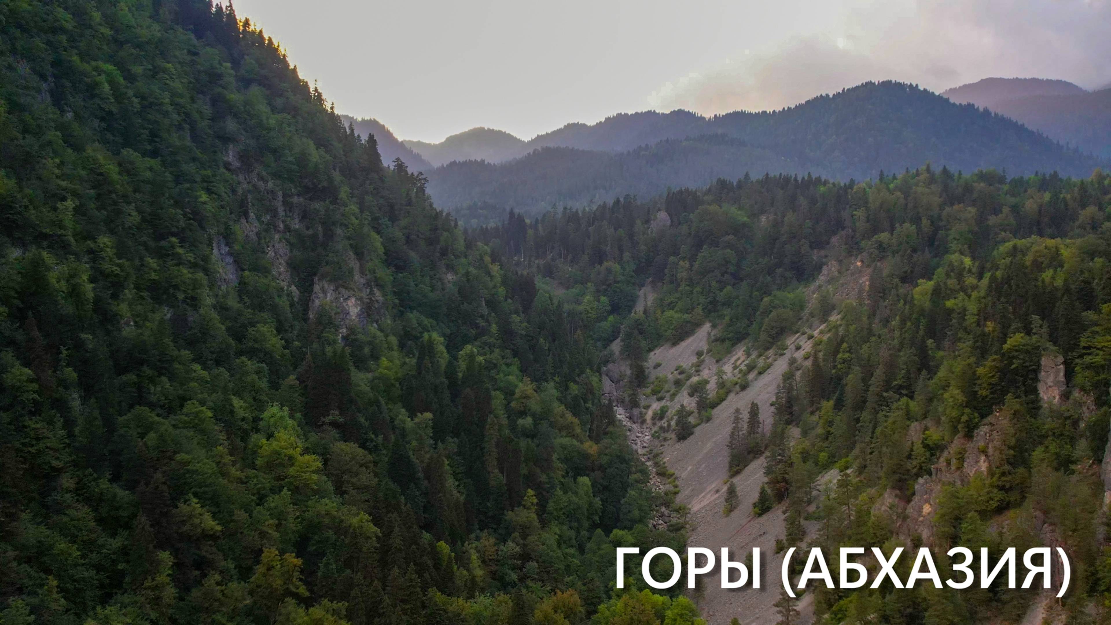 Горы (Абхазия, Рицинский заповедник) смотреть онлайн