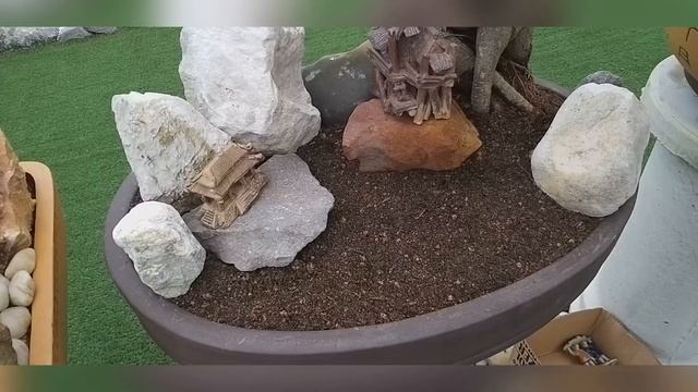 GARDENING LESSON - Making a PENJING LANDSCAPE with FICUS GINSENG BONSAI and FIGURINES смотреть онлайн