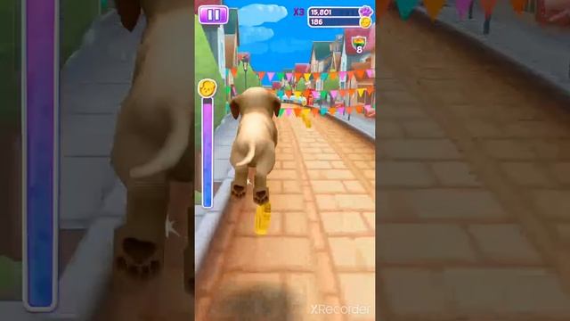 Dog Run Game Dog Run Puppy Racing Android Gameplay New Dog Run Game смотреть онлайн