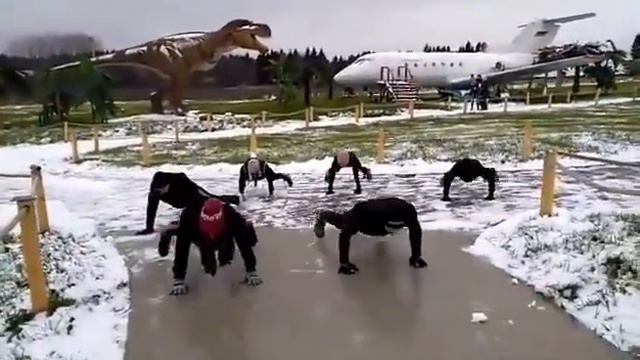 STRONG by Zumba - Quadrant 3 Champion смотреть онлайн