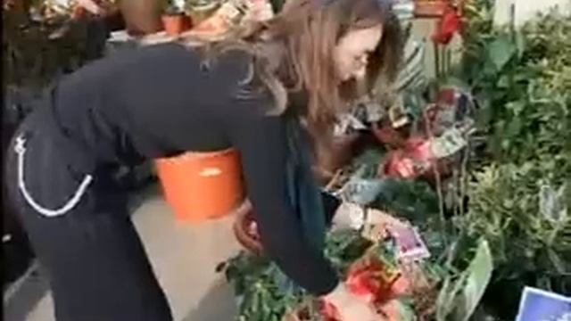 "MIMOZA" IZLOŽBA CVIJEĆA HERCEG NOVI 2007. / ARHIVSKI SNIMCI смотреть онлайн