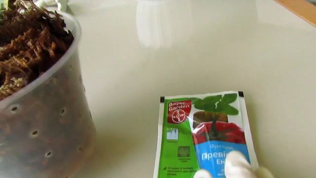 Шоколадик "говорит" спасибо группе поддержки) смотреть онлайн