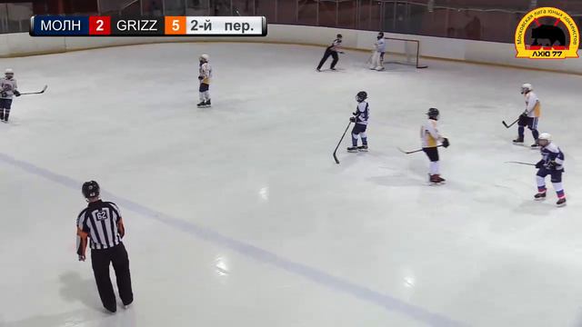U14 | Молния - Grizzly | ЛД Созвездие | 23.02.2020 17:00 смотреть онлайн