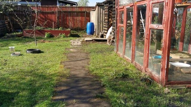 Гусята прогнали Рыжего кота. смотреть онлайн