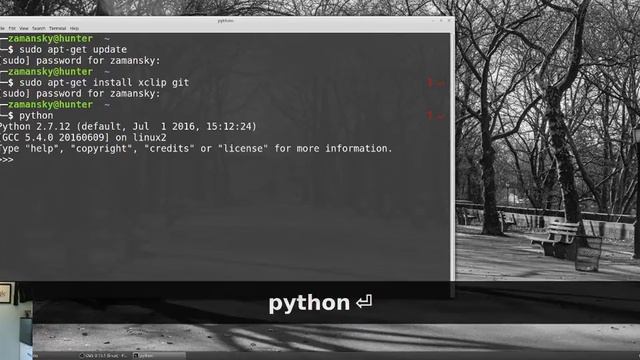 Linux Python and Flask смотреть онлайн