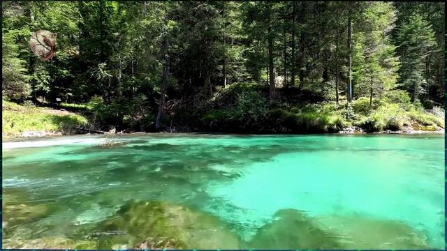 Звуки Реки Для Сна Или Отдыха ✦ Пение Птиц ✦ Sleep Sounds смотреть онлайн